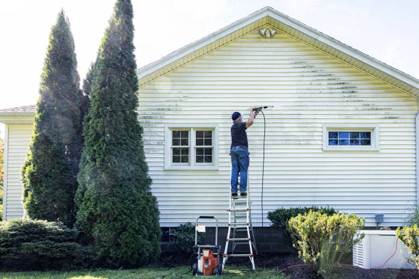 Spring Cleaning in North Amityville, NY